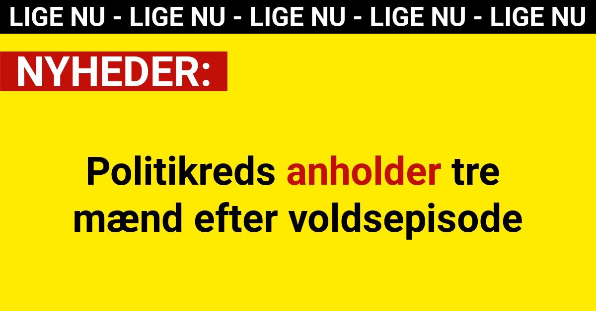 Politikreds anholder tre mænd efter voldsepisode