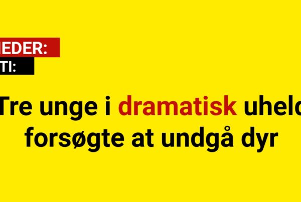 Tre unge i dramatisk uheld – forsøgte at undgå dyr