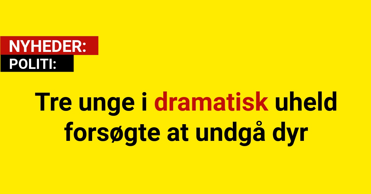 Tre unge i dramatisk uheld – forsøgte at undgå dyr