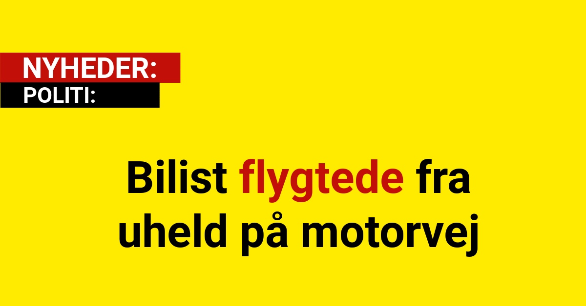 Bilist flygtede fra uheld på motorvej
