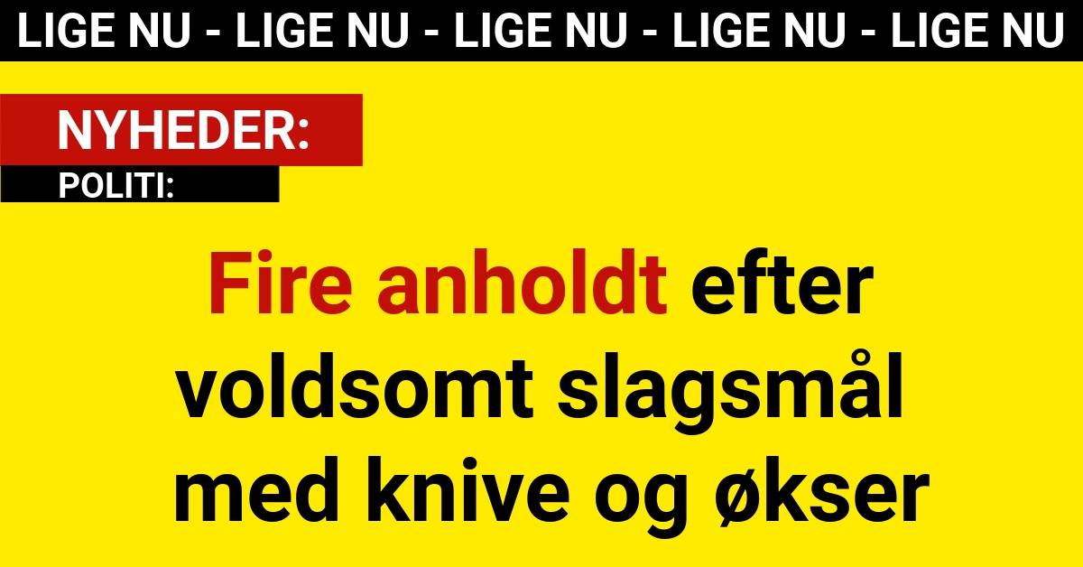 Fire anholdt efter voldsomt slagsmål med knive og økser