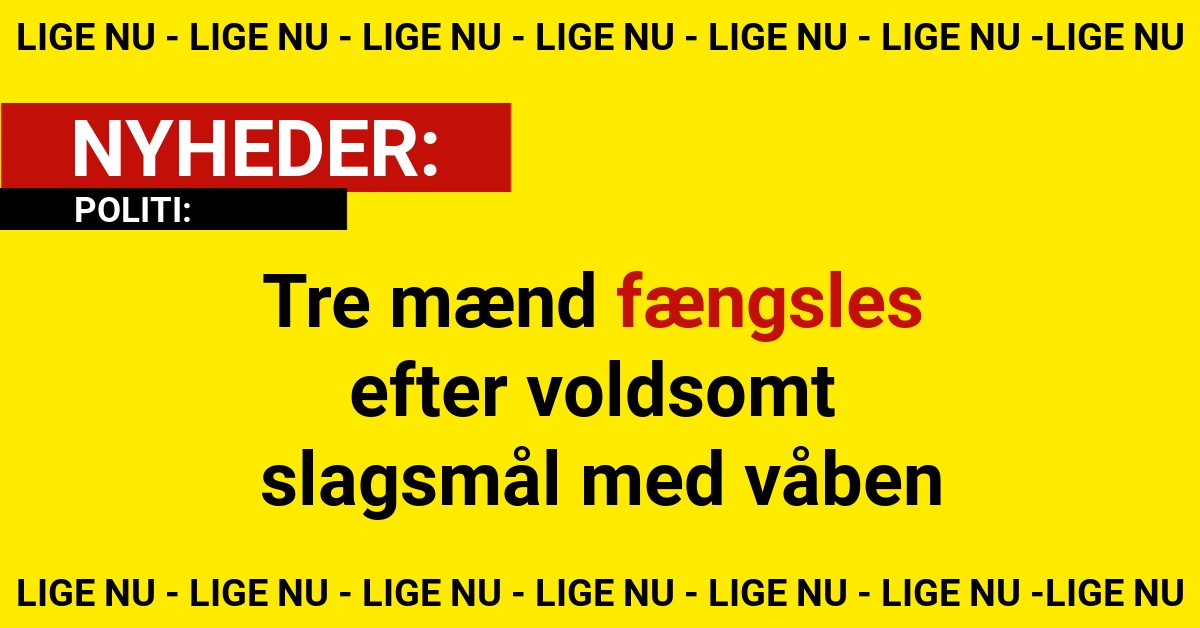 Tre mænd fængsles efter voldsomt slagsmål med våben