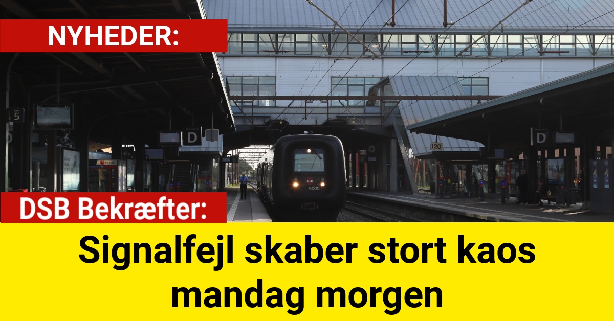 DSB Bekræfter: Signalfejl skaber stort kaos mandag morgen