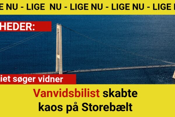 Vanvidsbilist skabte kaos på Storebælt – politiet søger vidner