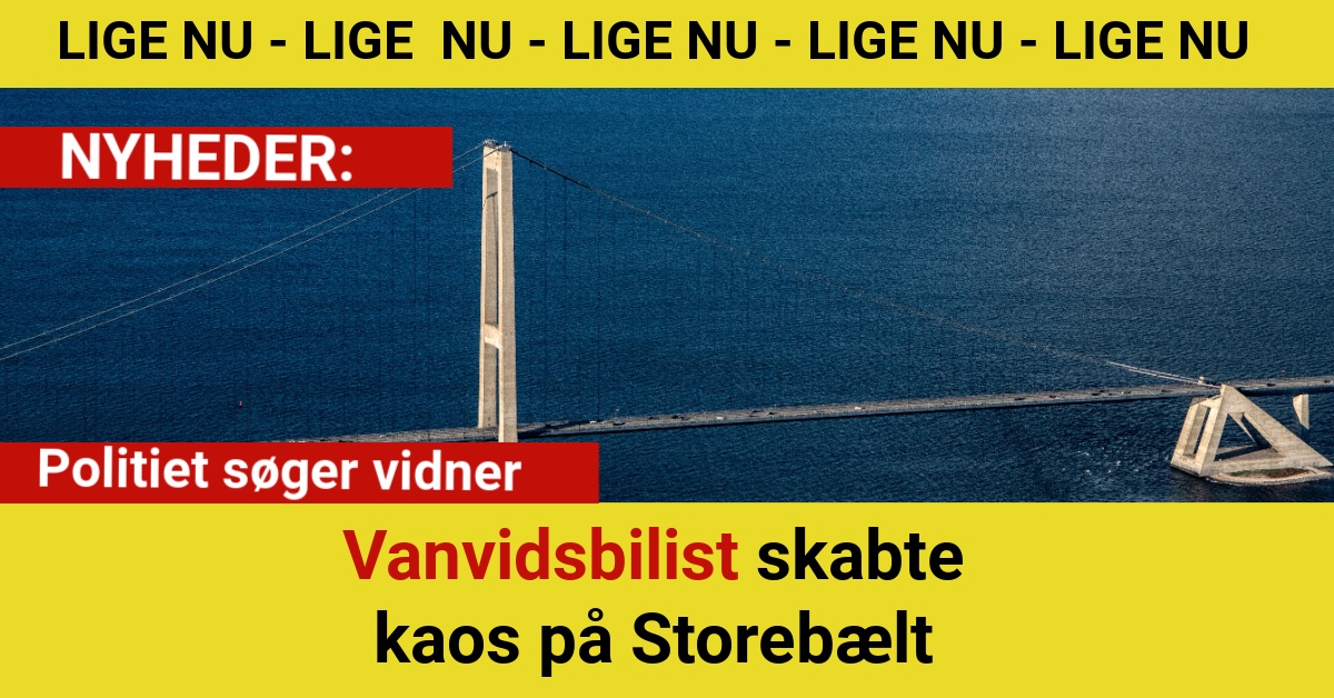 Vanvidsbilist skabte kaos på Storebælt – politiet søger vidner