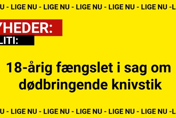 18-årig fængslet i sag om dødbringende knivstik
