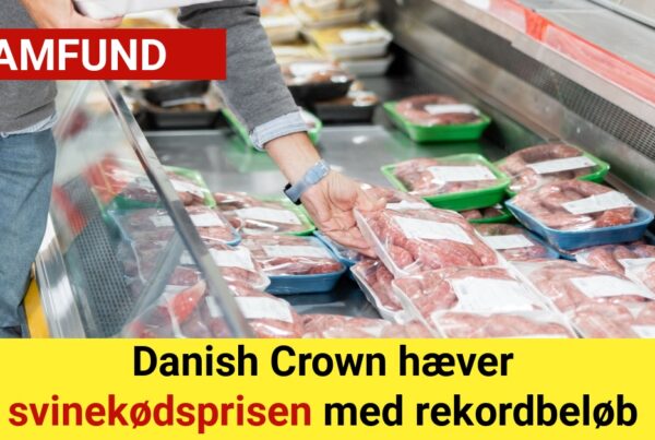 Danish Crown hæver svinekødsprisen med rekordbeløb