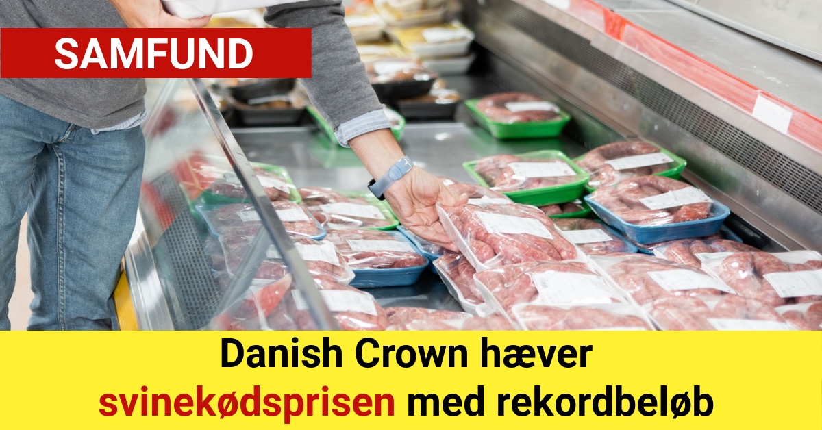 Danish Crown hæver svinekødsprisen med rekordbeløb
