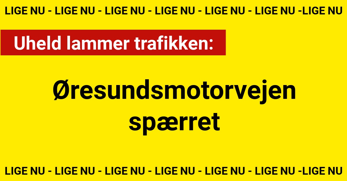 Uheld lammer trafikken: