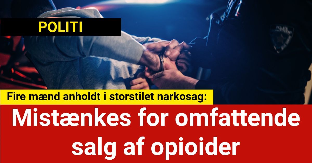 Fire mænd anholdt i storstilet narkosag: