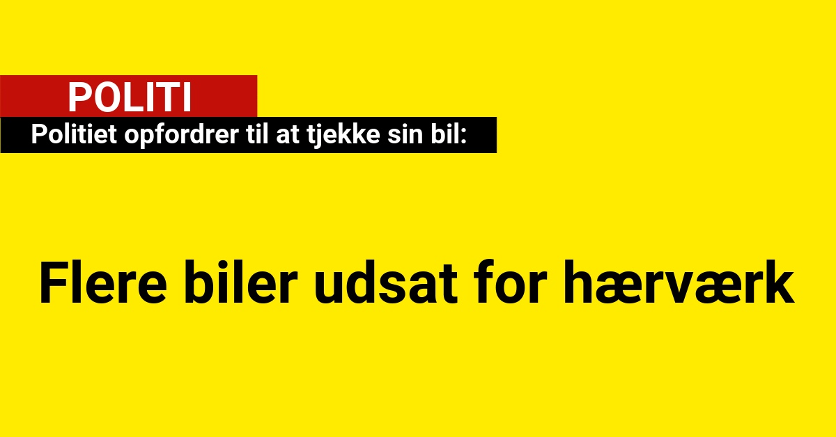 Politiet opfordrer til at tjekke sin bil
