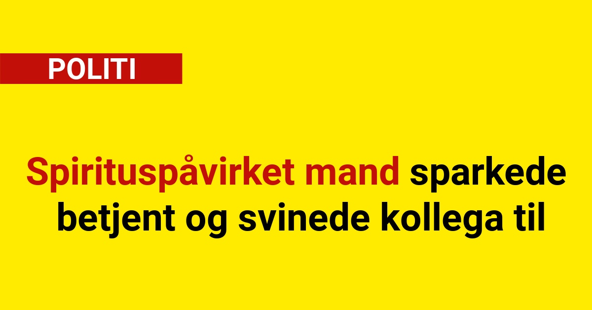 Spirituspåvirket mand sparkede betjent og svinede kollega til