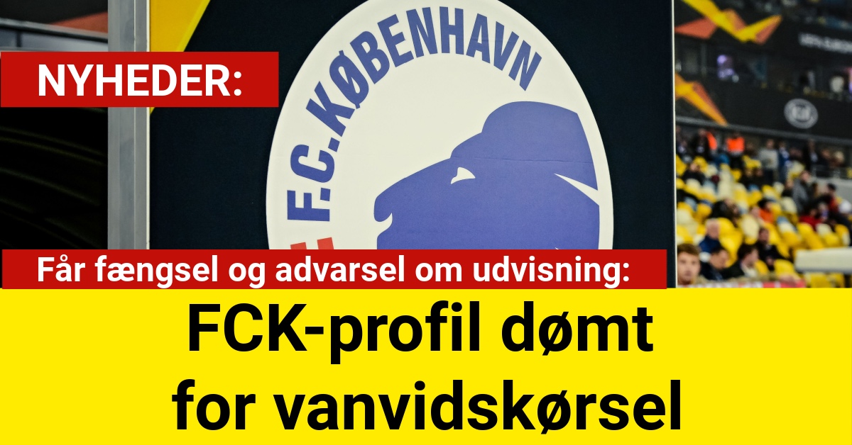 Får fængsel og advarsel om udvisning