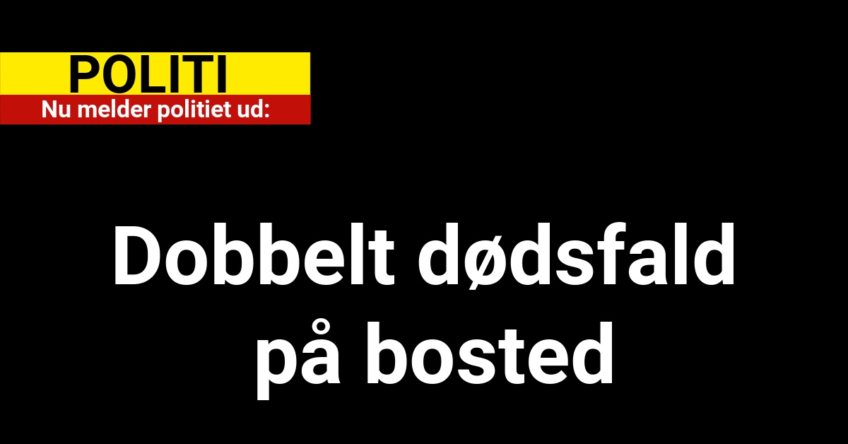 Nu melder politiet ud