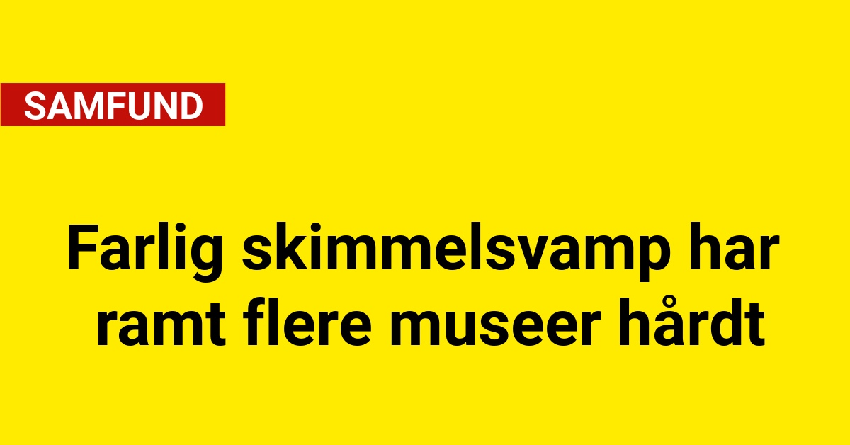 Farlig skimmelsvamp har ramt flere museer hårdt