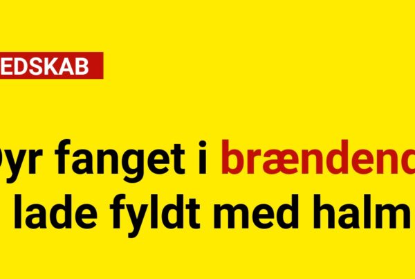 Dyr fanget i brændende lade fyldt med halm