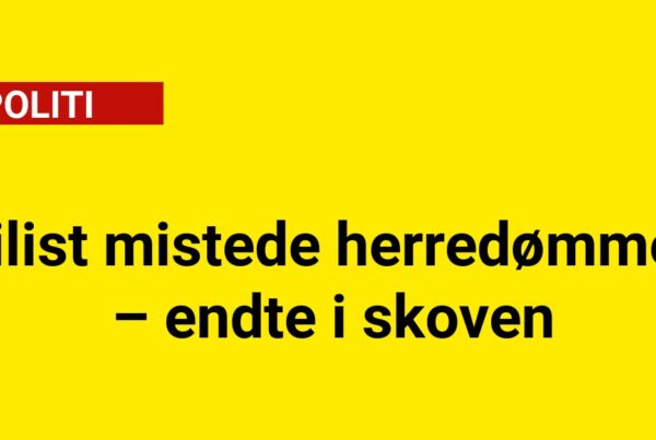 Bilist mistede herredømmet – endte i skoven