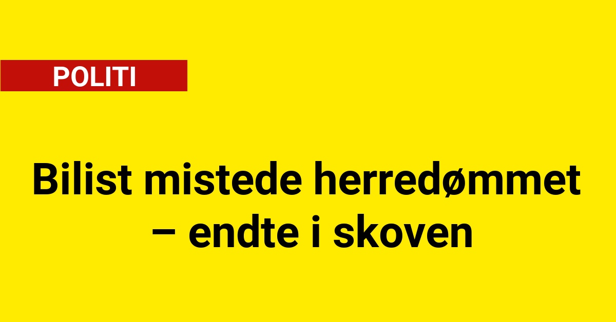 Bilist mistede herredømmet – endte i skoven