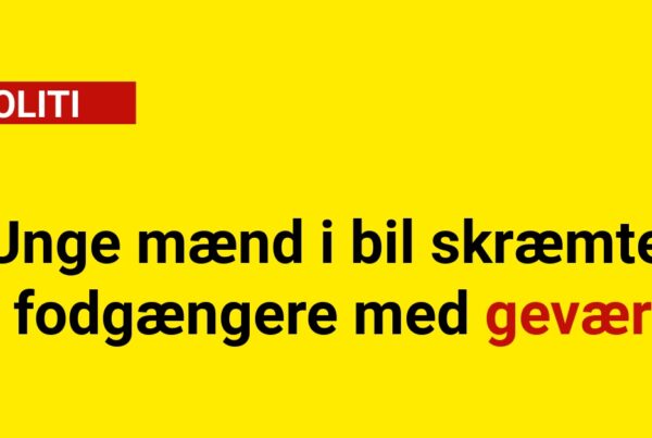 Unge mænd i bil skræmte fodgængere med gevær
