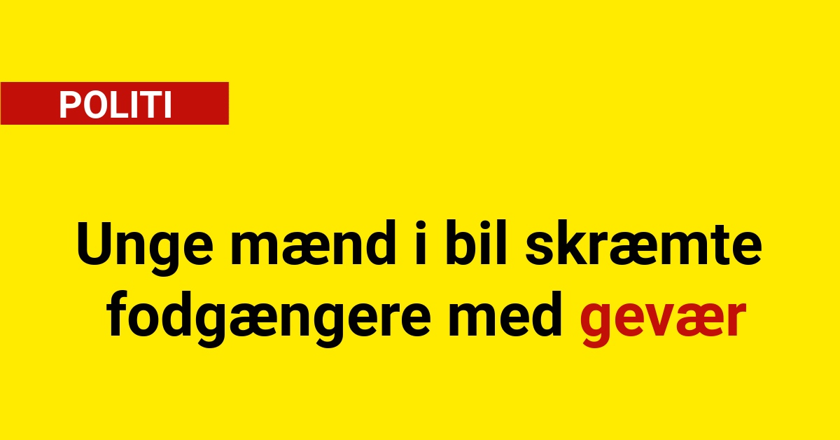 Unge mænd i bil skræmte fodgængere med gevær