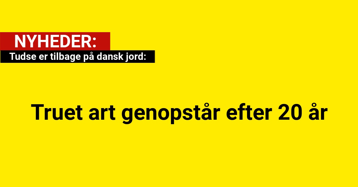 Tudse er tilbage på dansk jord