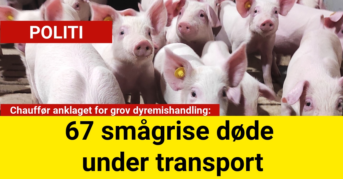 chauffør anklaget for grov dyremishandling