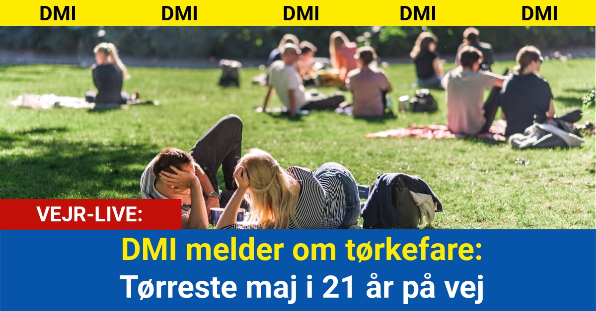 DMI melder om tørkefare: Tørreste maj i 21 år på vej