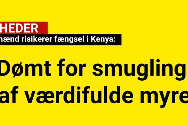 Fire mænd risikerer fængsel i Kenya