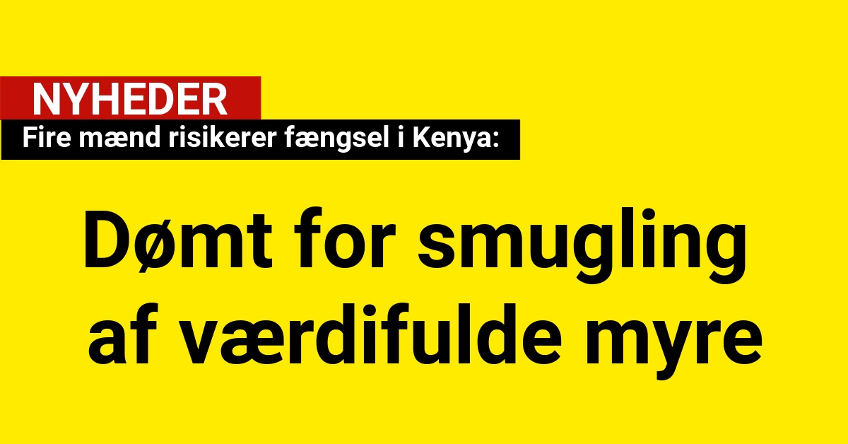 Fire mænd risikerer fængsel i Kenya