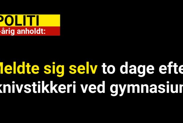 17-årig anholdt: