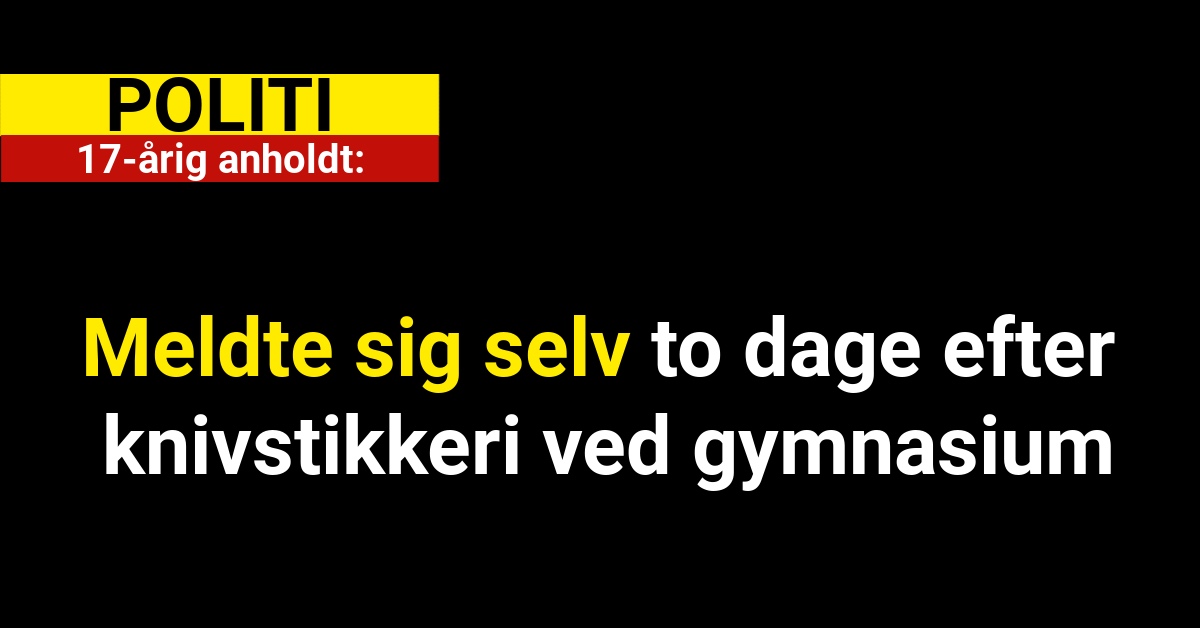 17-årig anholdt: