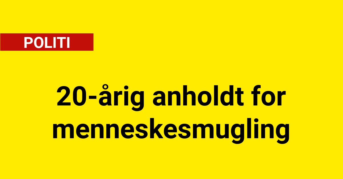20-årig anholdt for menneskesmugling ved færgekontrol