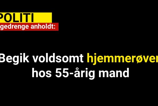 Teenagedrenge anholdt