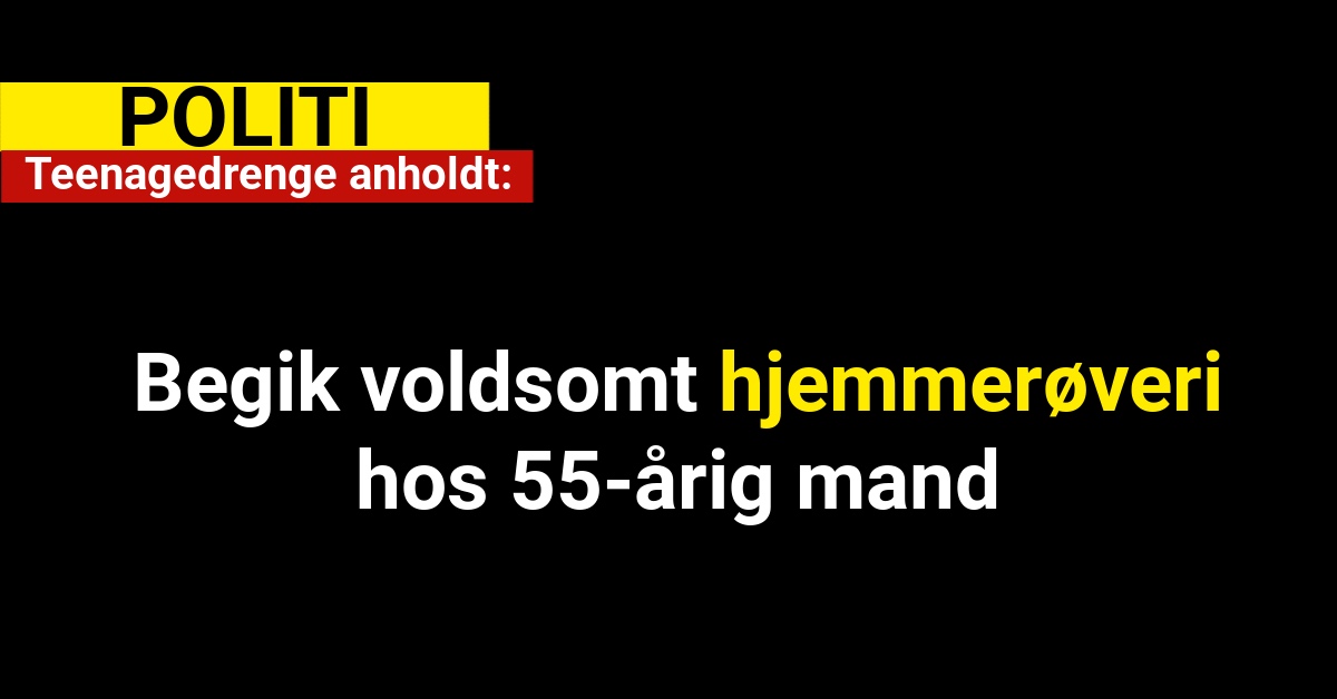 Teenagedrenge anholdt