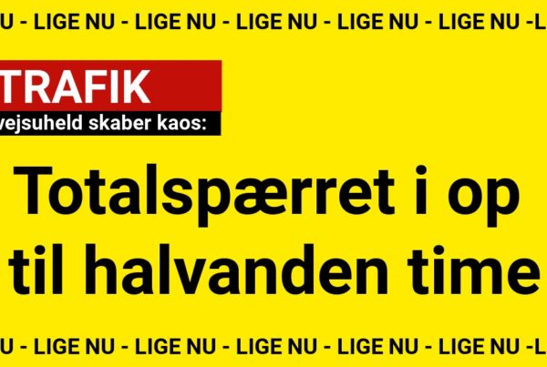 Motorvejsuheld skaber kaos:
