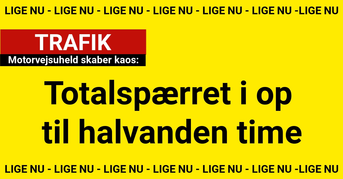 Motorvejsuheld skaber kaos: