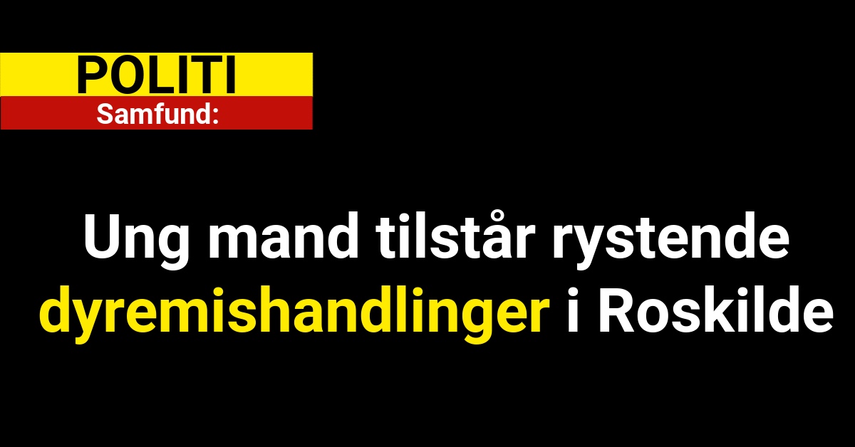 Ung mand tilstår rystende dyremishandlinger i Roskilde