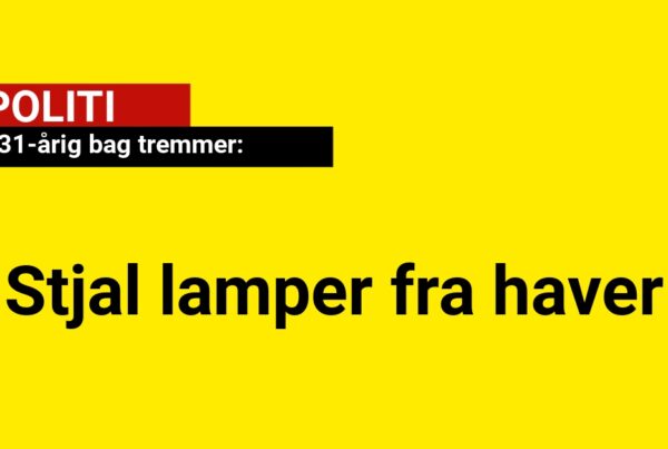31-årig bag tremmer: