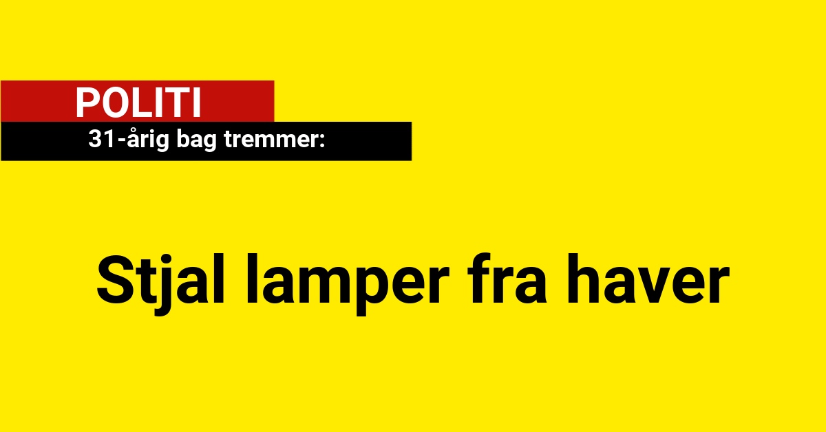 31-årig bag tremmer: