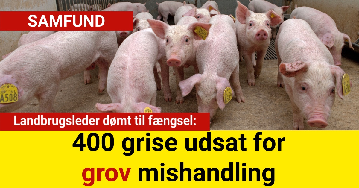 Landbrugsleder dømt til fængsel