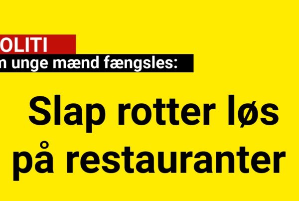 Fem unge mænd fængsles: