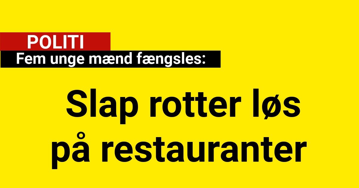 Fem unge mænd fængsles: