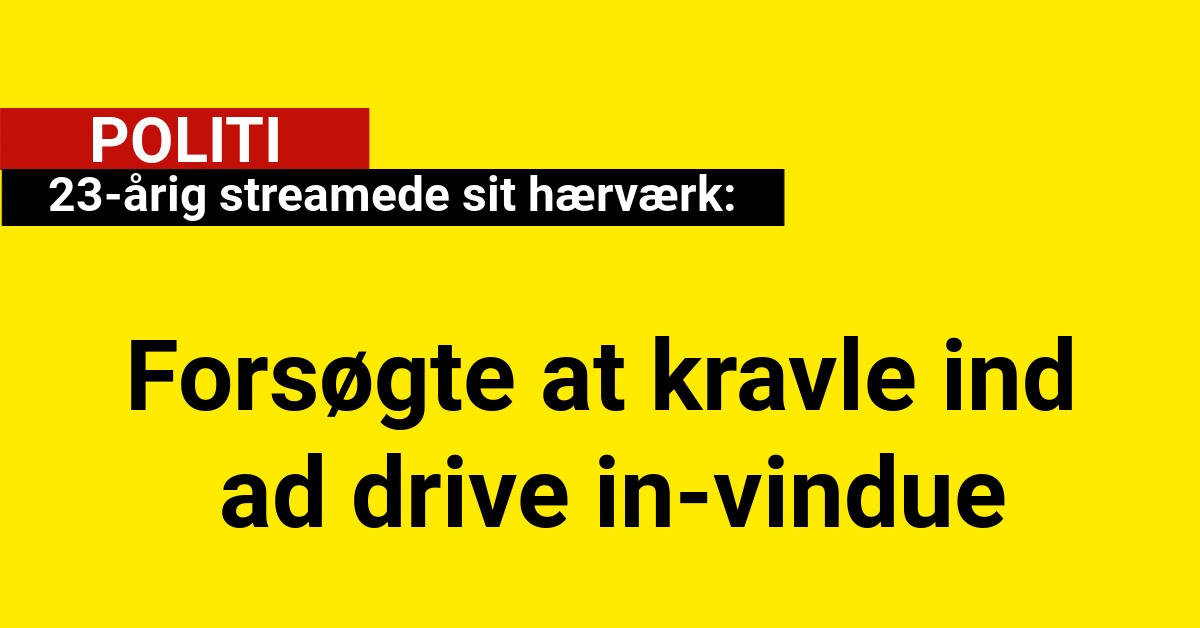 23-årig streamede sit hærværk: