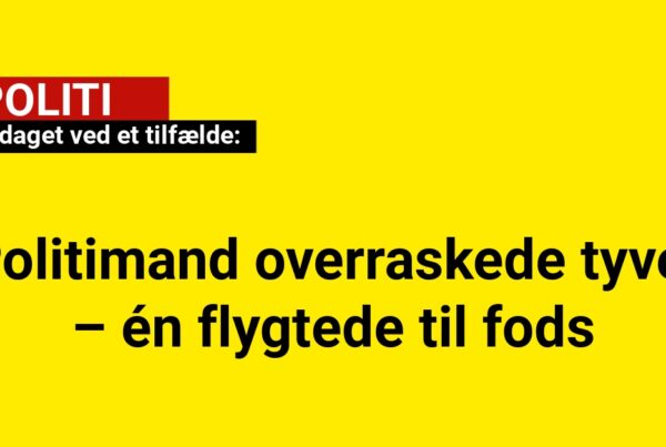 Politimand overraskede tyve – én flygtede til fods