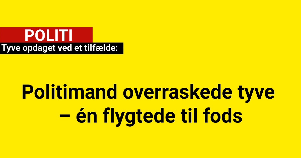 Politimand overraskede tyve – én flygtede til fods