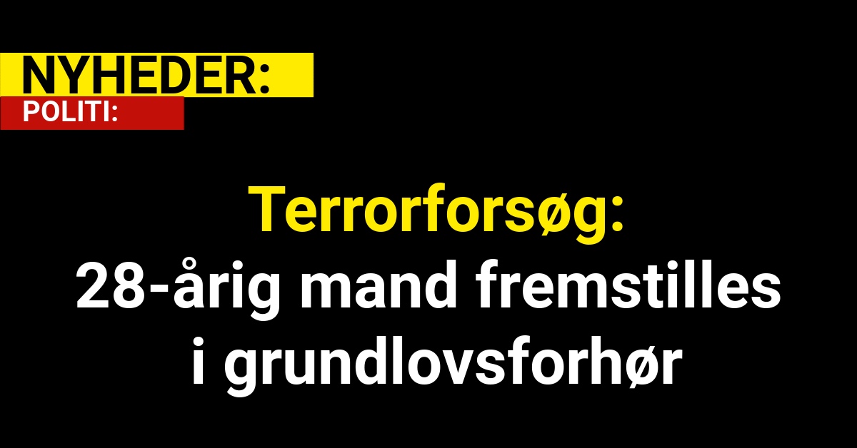 Terrorforsøg: 28-årig mand fremstilles i grundlovsforhør