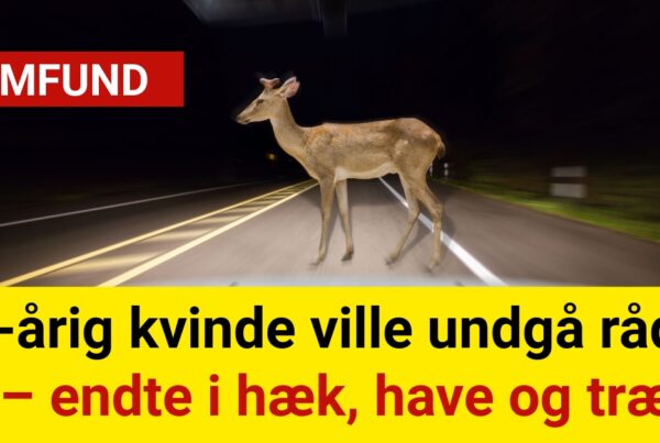 81-årig kvinde ville undgå rådyr