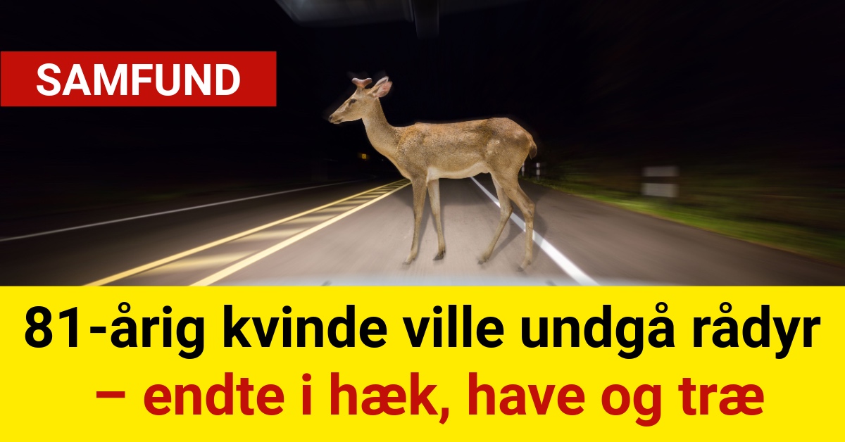 81-årig kvinde ville undgå rådyr