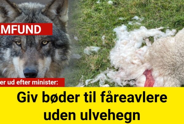DN langer ud efter minister: