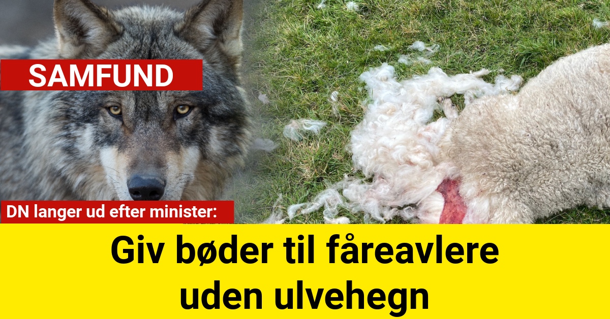 DN langer ud efter minister: